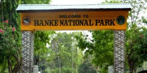 Banke National Park